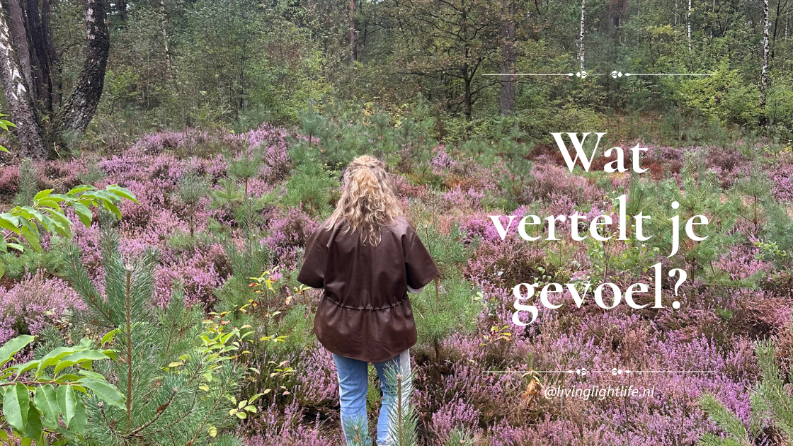 San van der Hulst in een bloeiend heideveld